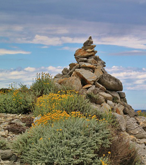 手机攻击器APP下载